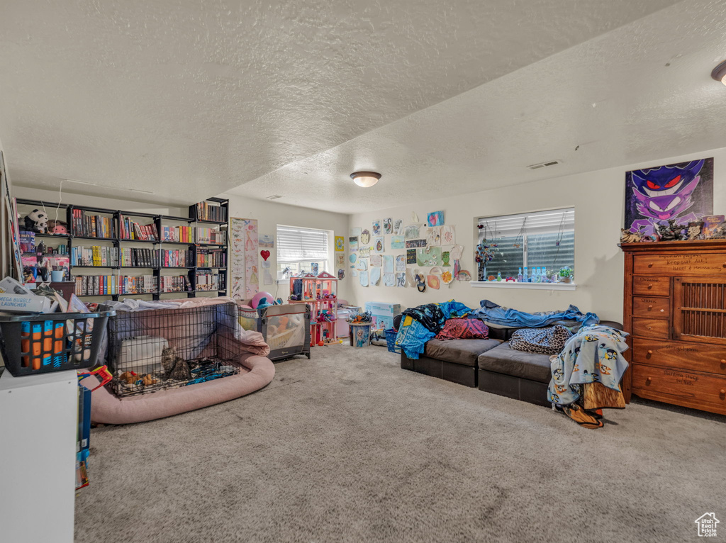 Carpeted living area featuring a textured ceiling