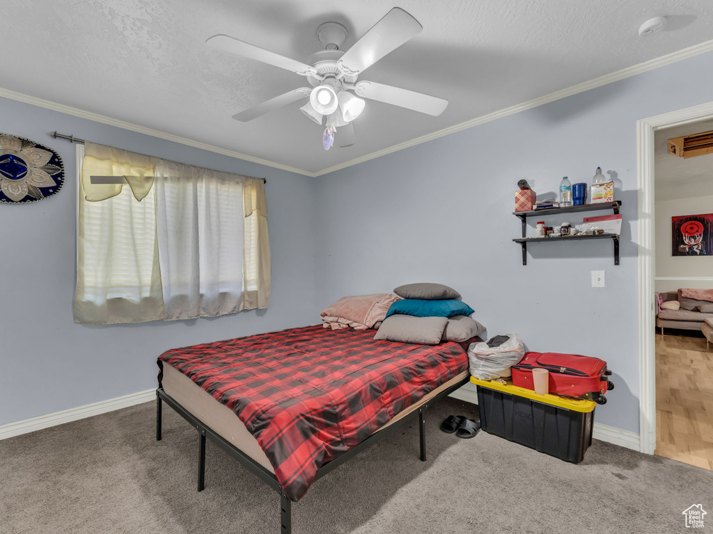 Carpeted bedroom featuring crown molding and ceiling fan