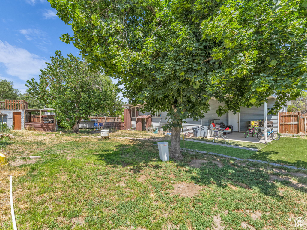 View of yard featuring a patio