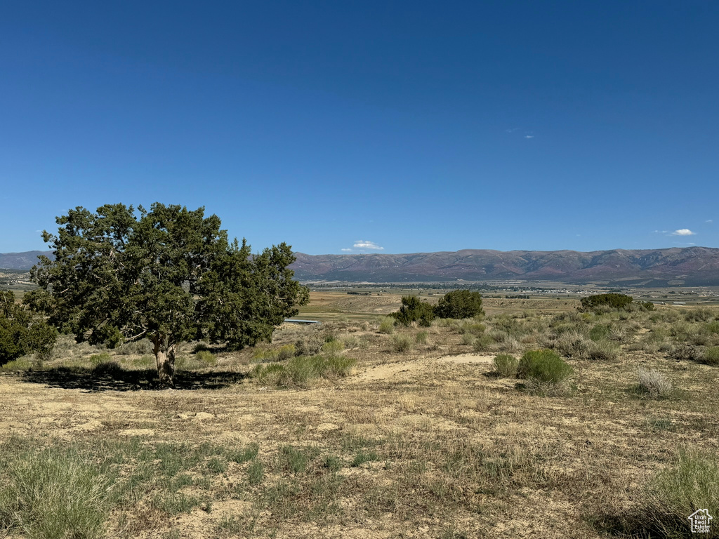 Mountain view