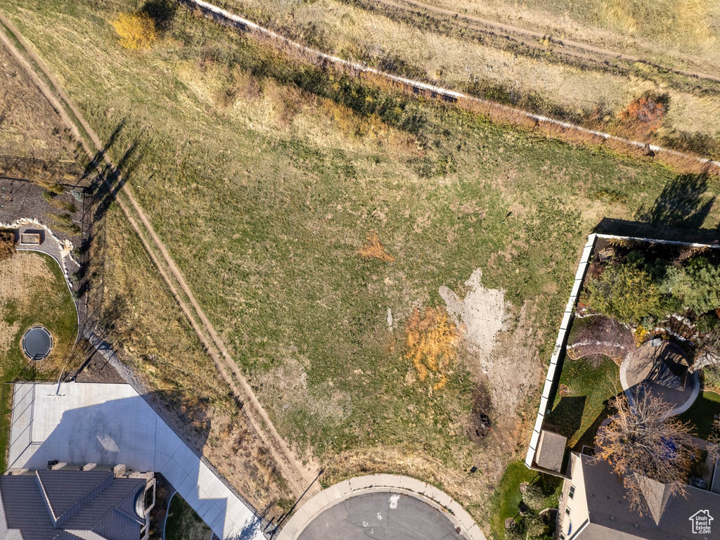 Bird\'s eye view
