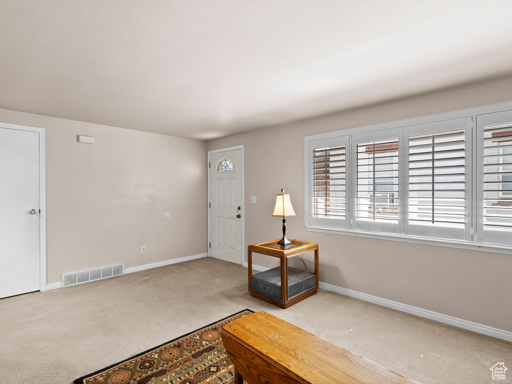Carpeted foyer with baseboards
