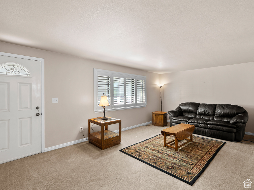 Living room featuring carpet flooring and baseboards