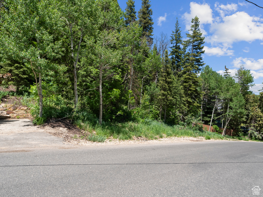 View of asphalt road