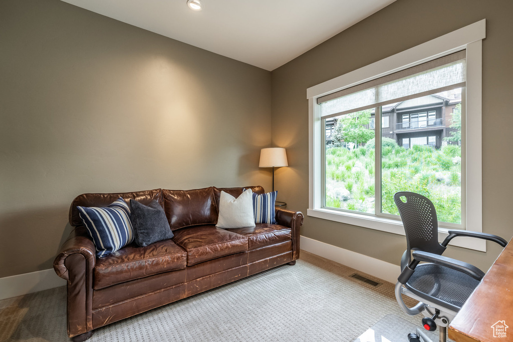 Carpeted home office with baseboards