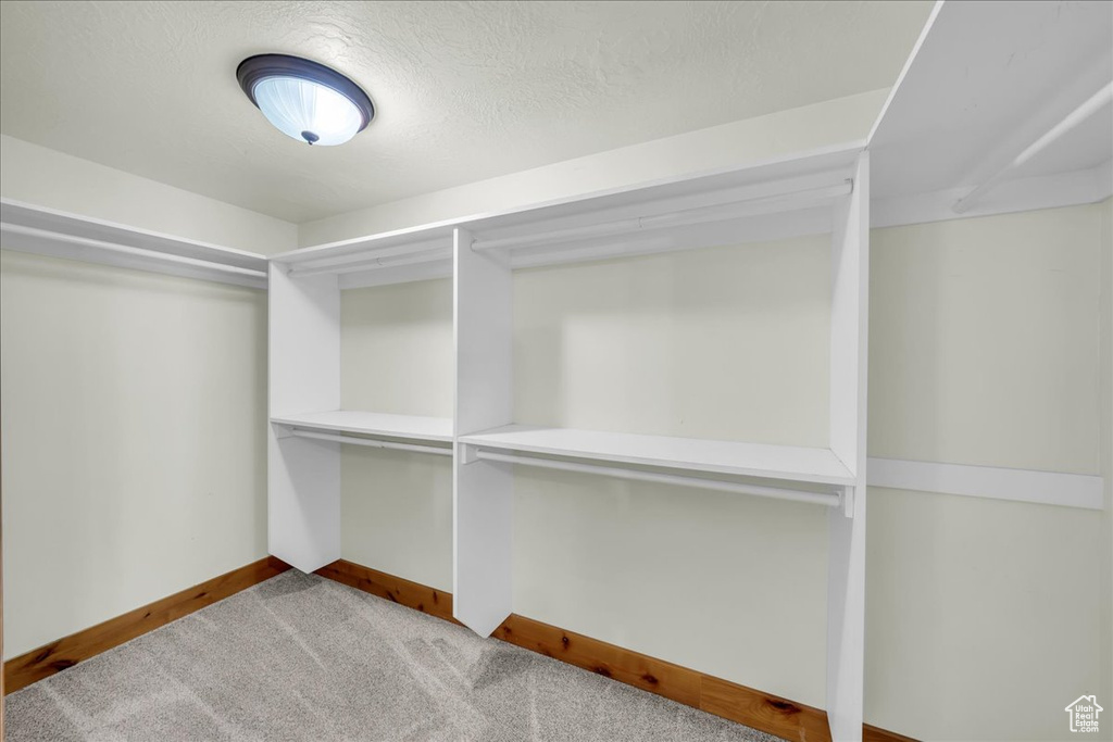 Spacious closet featuring carpet flooring