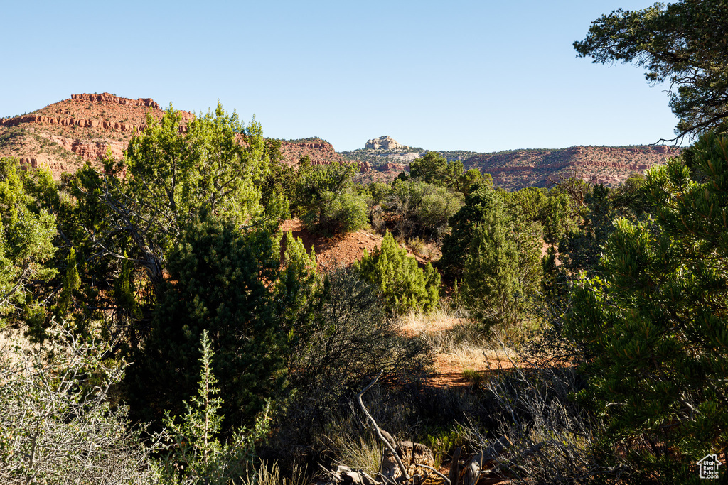 View of mountain background