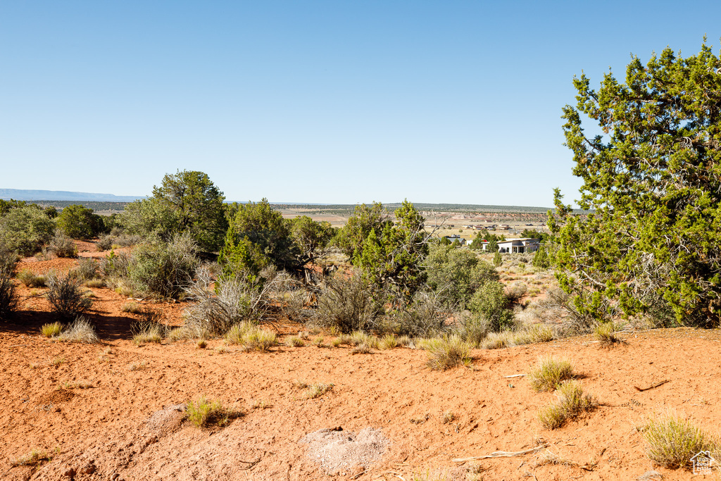 View of nature