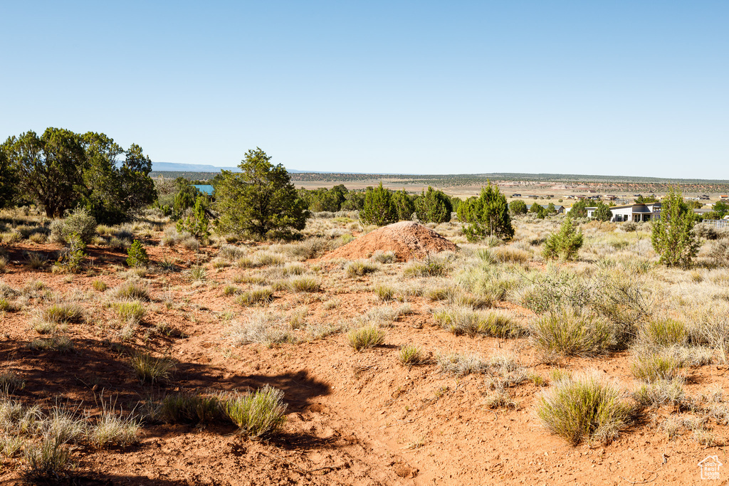 View of local wilderness