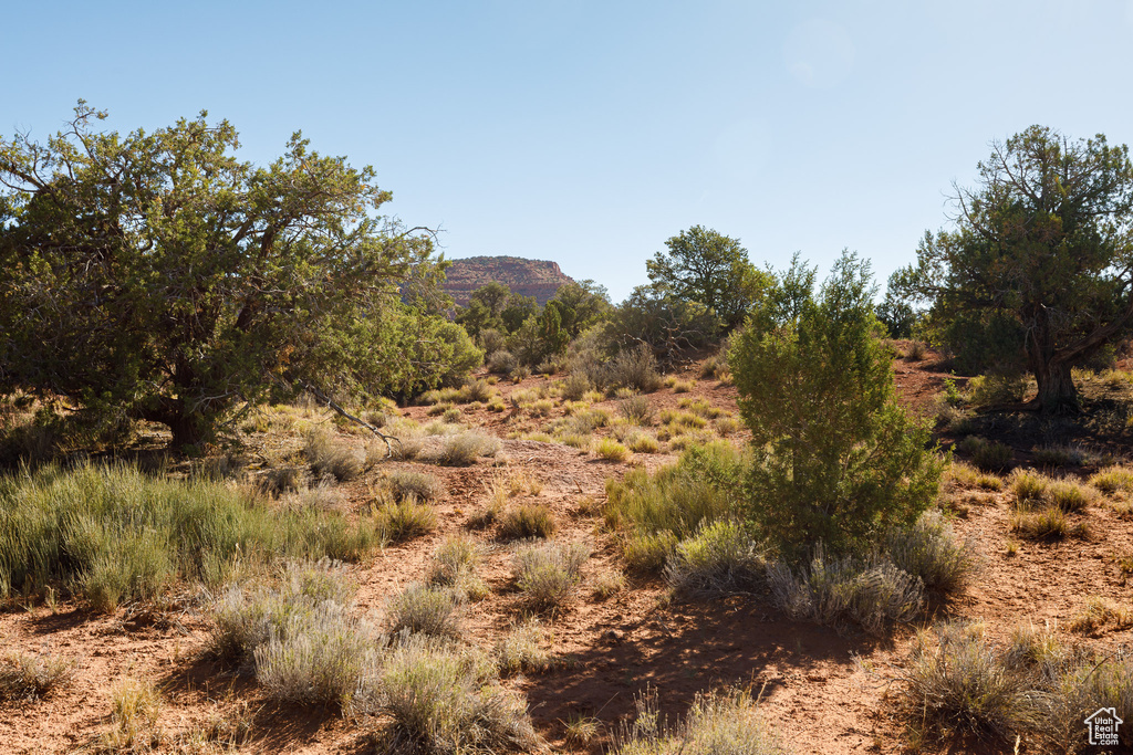 View of local wilderness with a mountain backdrop
