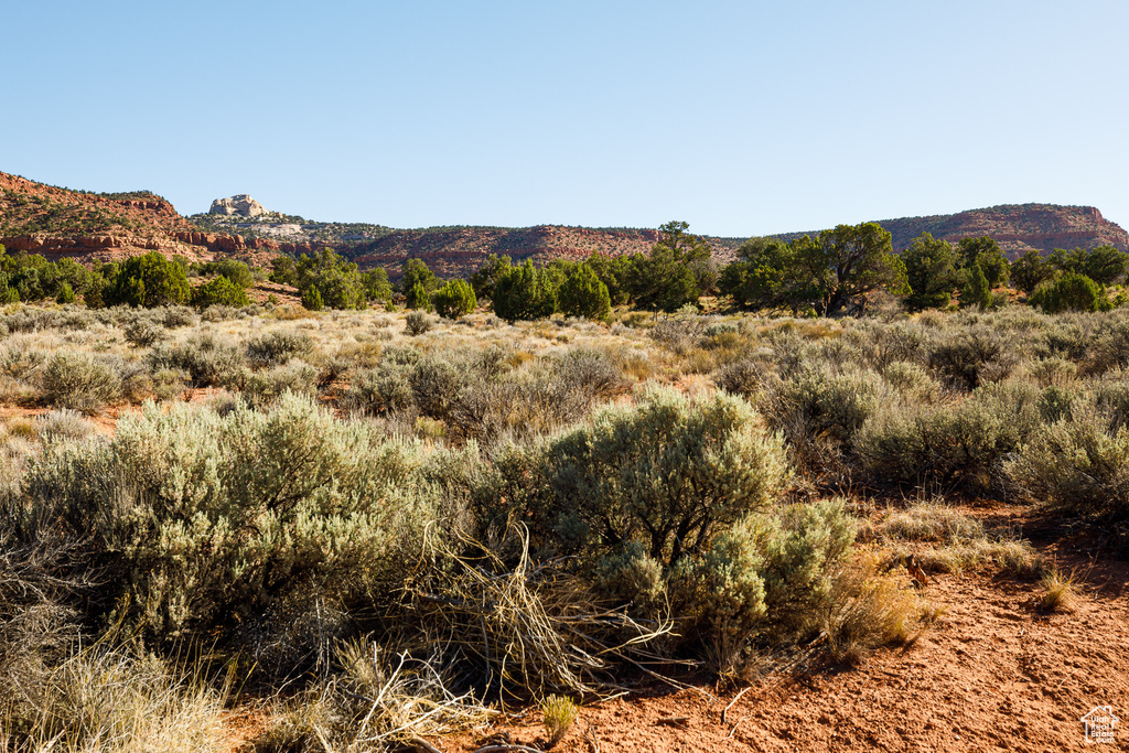 View of mountain background