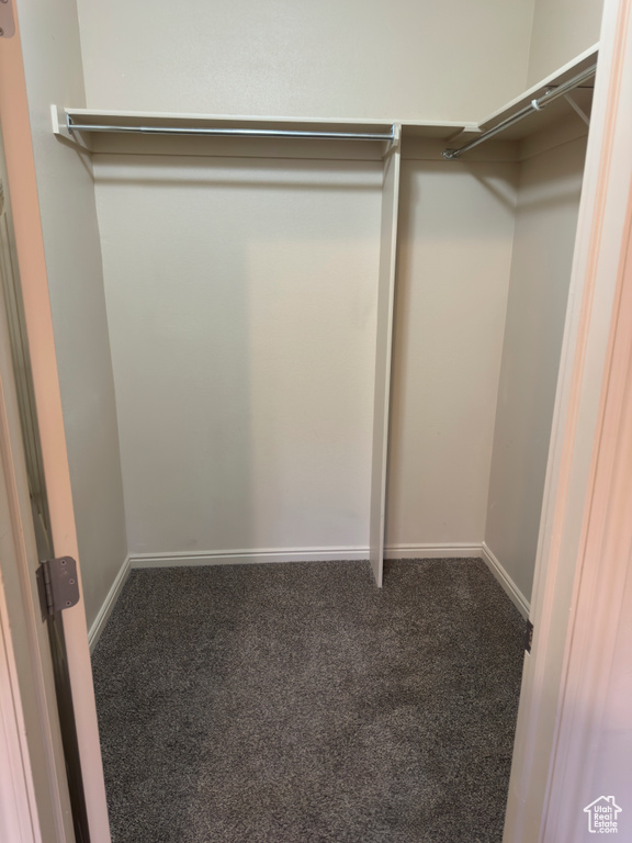 Walk in closet with carpet