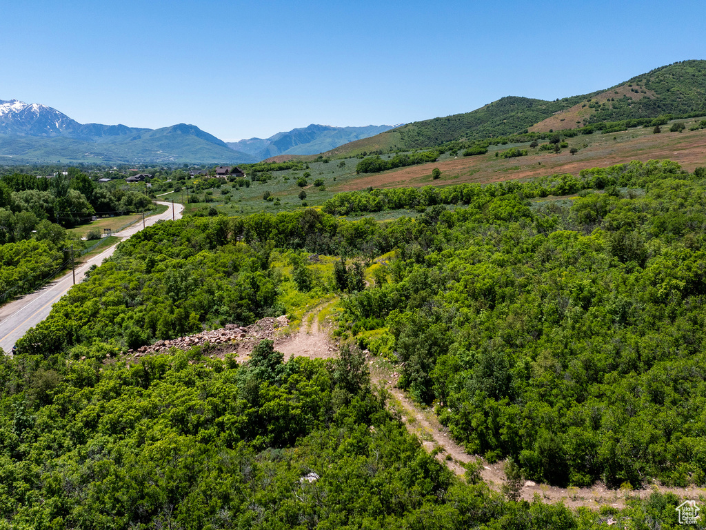 View of mountain background featuring a heavily wooded area