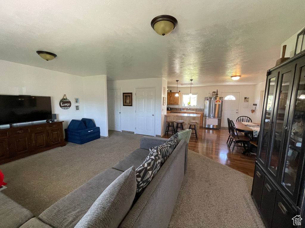 Living room with carpet floors