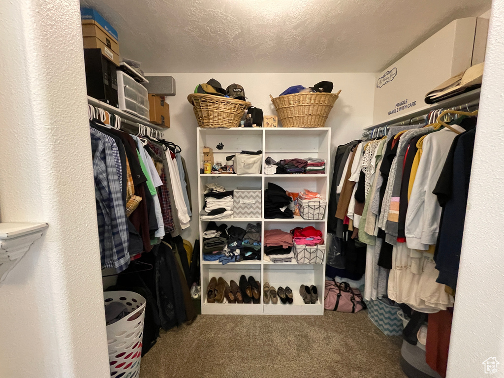 Walk in closet featuring carpet