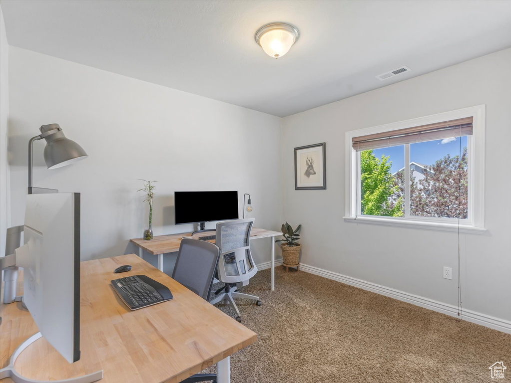 Office featuring carpet flooring and baseboards