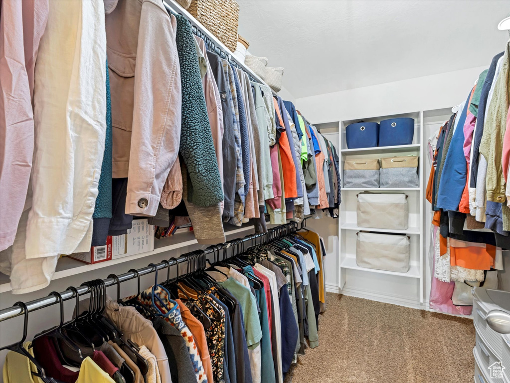 Spacious closet featuring carpet flooring