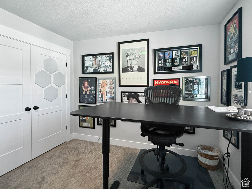 Office with a textured ceiling and carpet