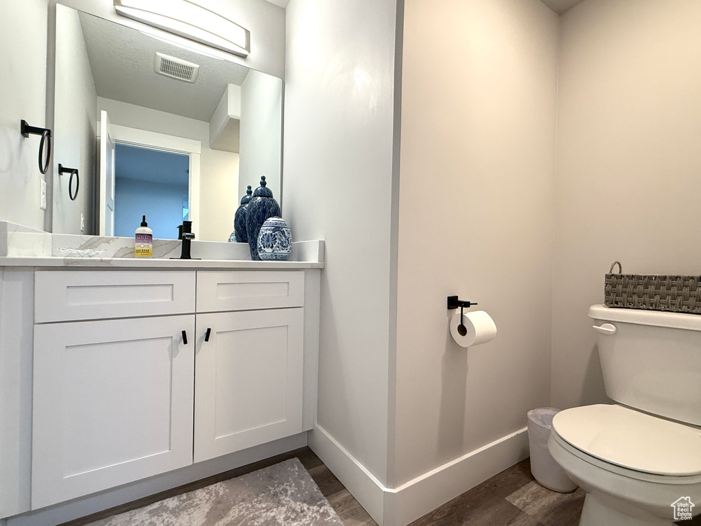 Bathroom featuring wood finished floors and vanity
