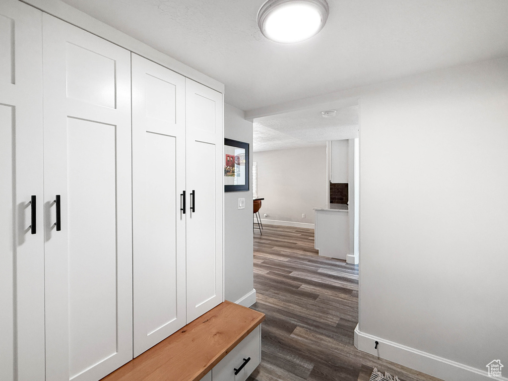 Mudroom featuring baseboards and dark wood-type flooring