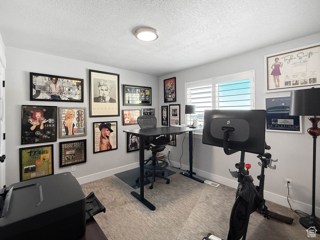 Carpeted home office with a textured ceiling and baseboards