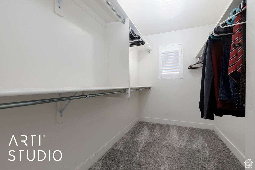 Spacious closet featuring carpet