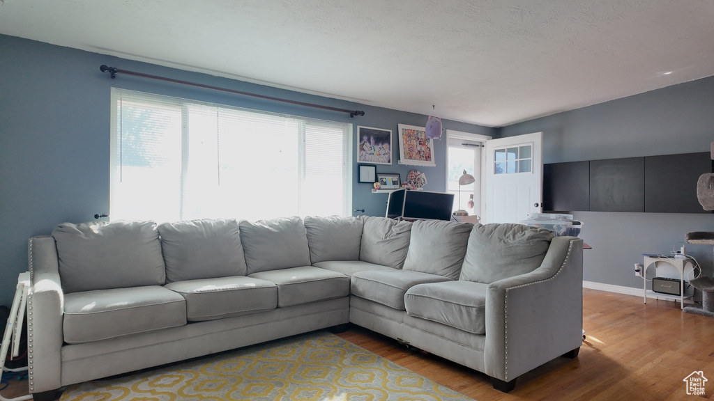 Living room featuring wood finished floors and baseboards