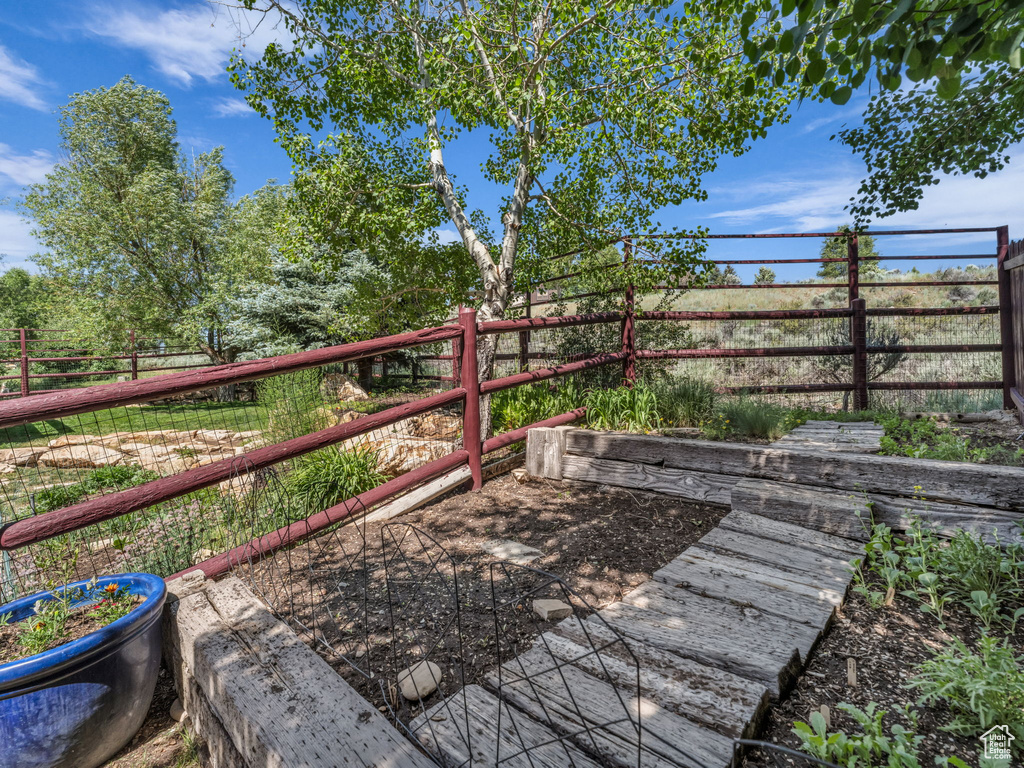 View of fenced backyard
