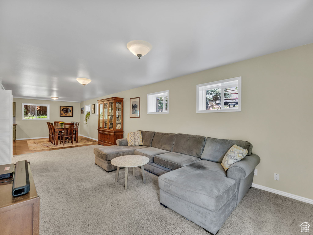 Living room with carpet floors