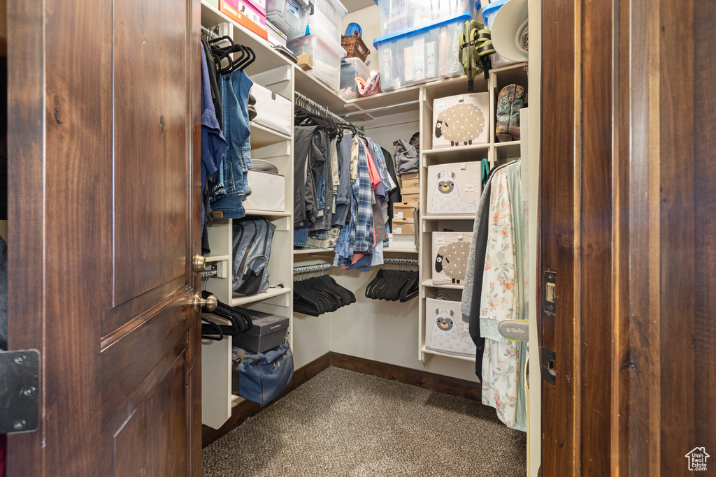 Spacious closet featuring carpet floors