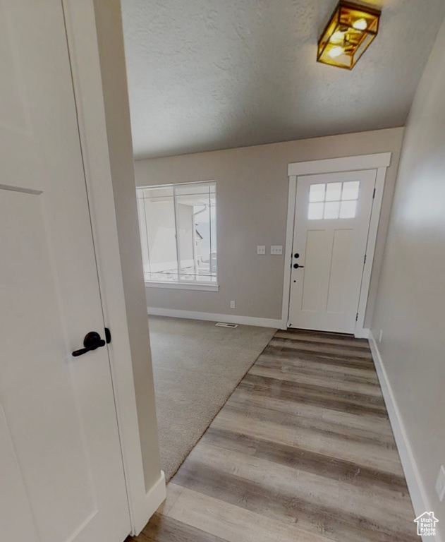 Foyer featuring plenty of natural light, wood finished floors, and a textured ceiling