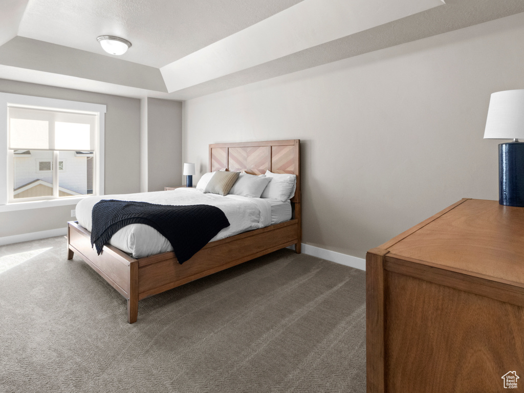 Bedroom featuring carpet flooring and a tray ceiling