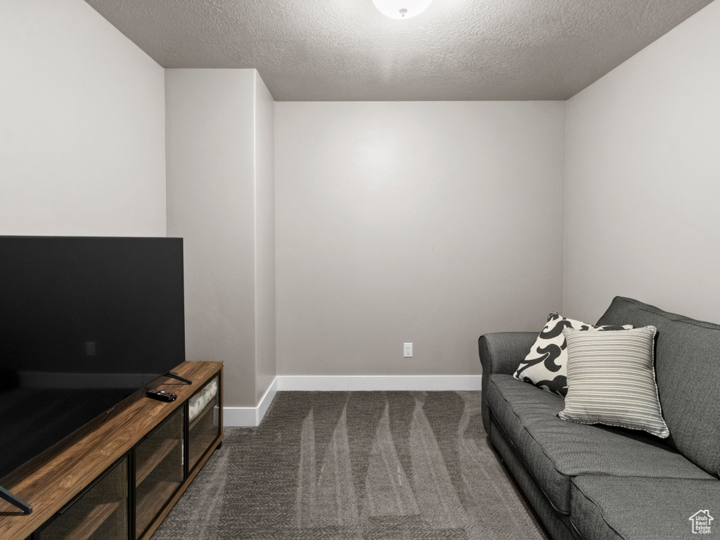 Living room featuring dark carpet and a textured ceiling