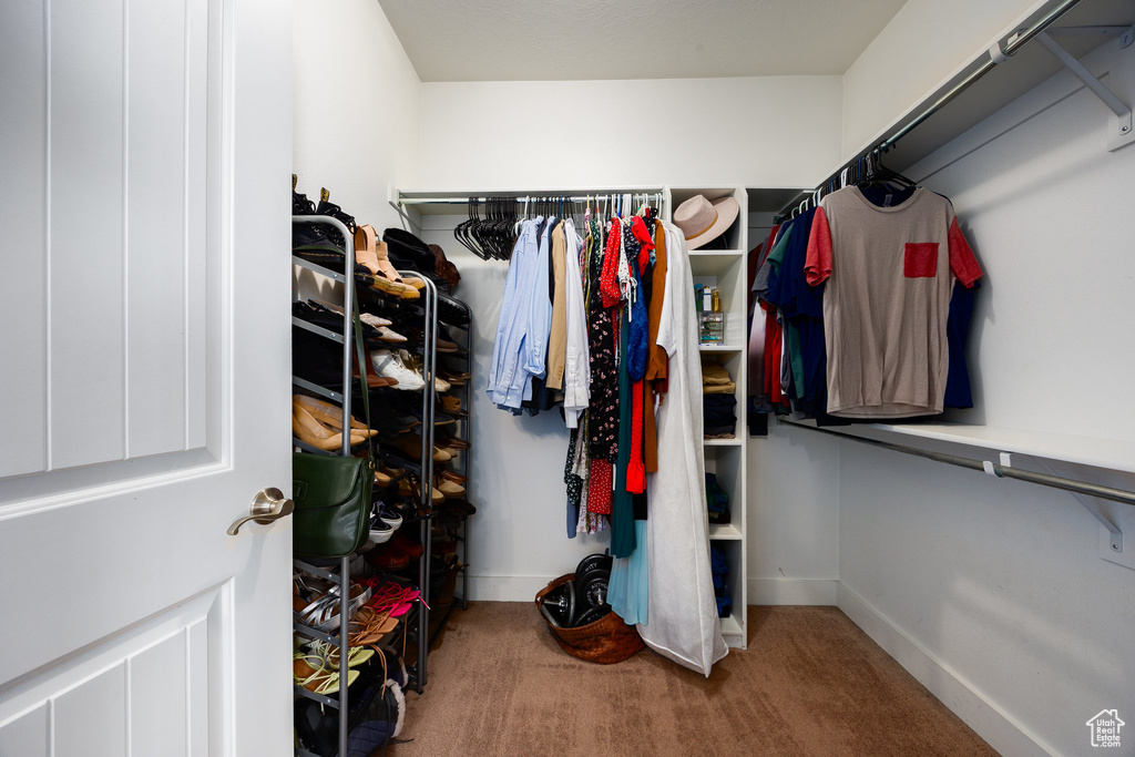 Walk in closet with carpet