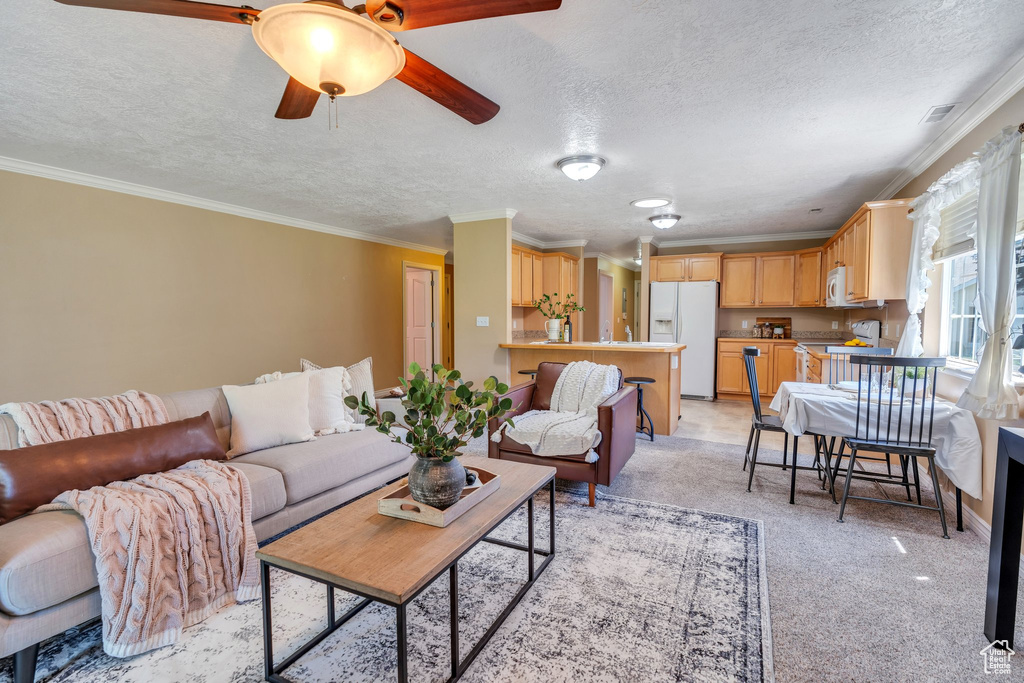 Living area featuring a textured ceiling, ornamental molding, a ceiling fan, and light carpet