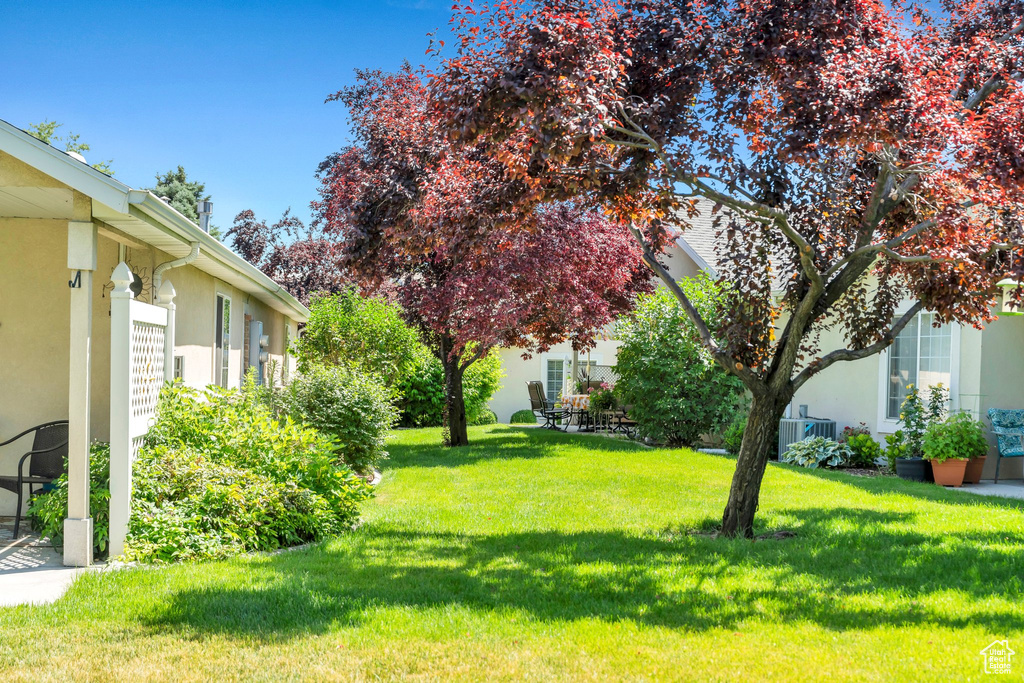View of grassy yard