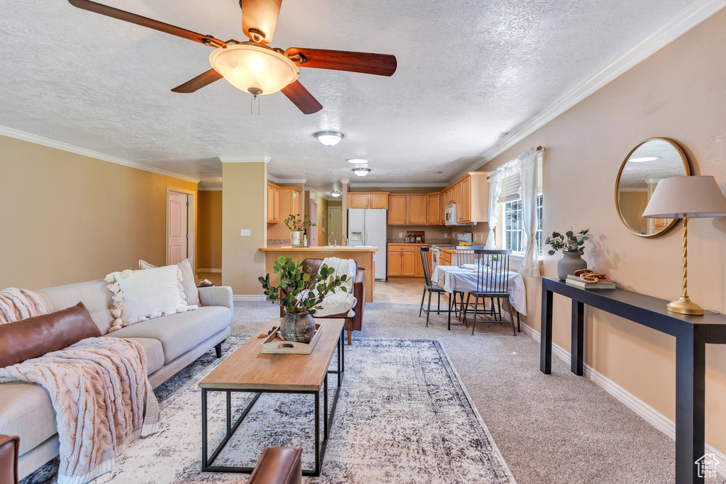 Living room featuring a textured ceiling, light carpet, ceiling fan, and crown molding