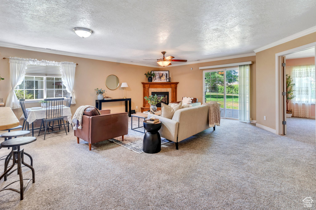Carpeted living area with a textured ceiling, crown molding, a ceiling fan, and a tiled fireplace
