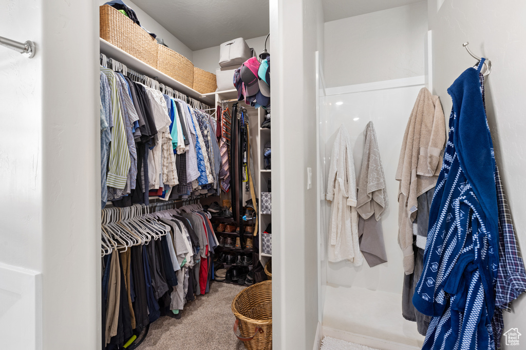 Spacious closet featuring carpet flooring