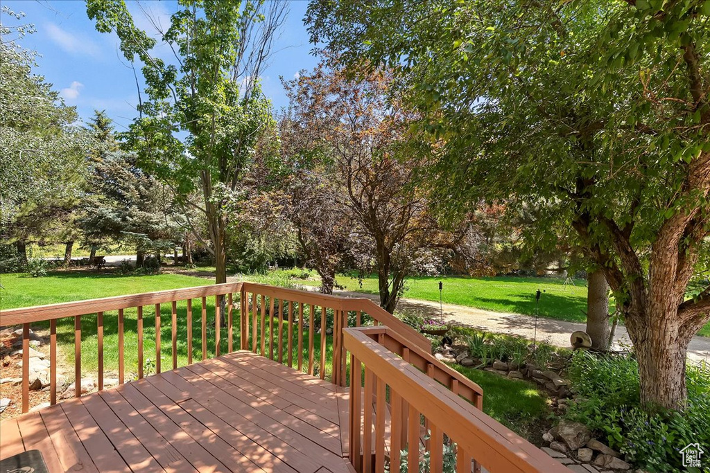 Wooden terrace with a yard