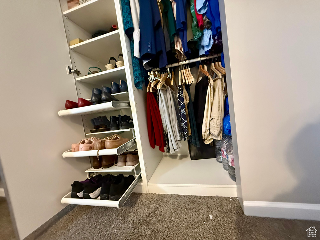 Spacious closet featuring carpet