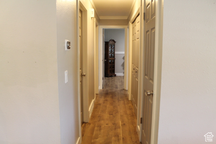 Corridor featuring light wood-style flooring and ornamental molding