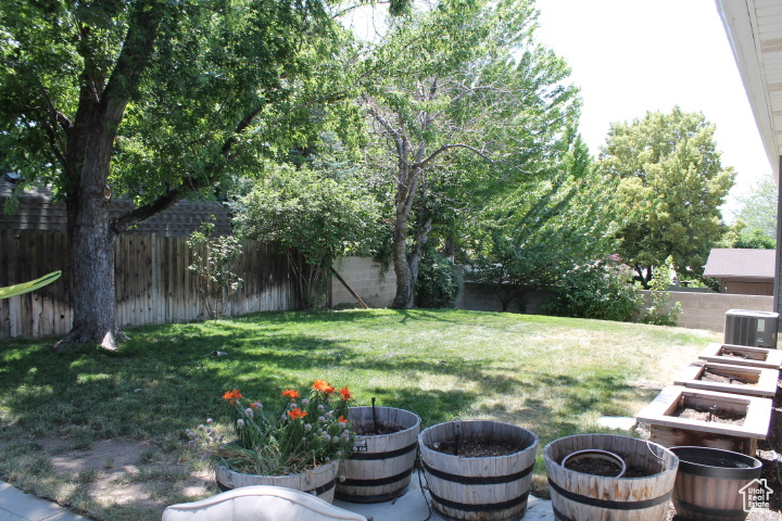 View of fenced backyard
