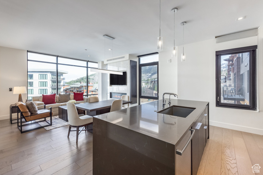 Kitchen with modern cabinets, light wood-type flooring, plenty of natural light, and a wall of windows