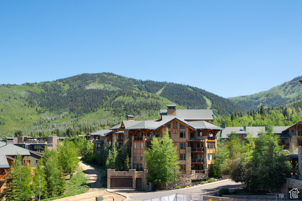 View of mountain backdrop with a heavily wooded area