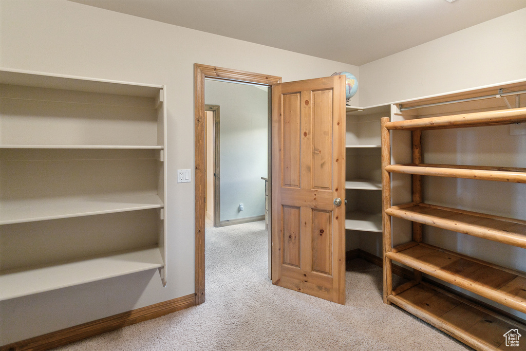 Walk in closet featuring carpet floors
