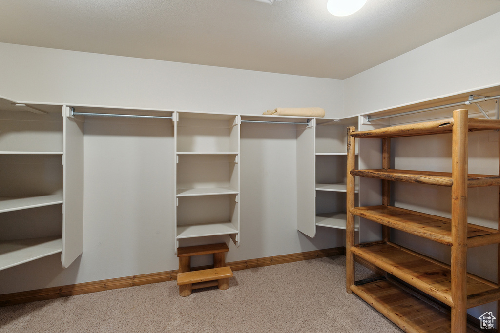 Spacious closet featuring carpet flooring