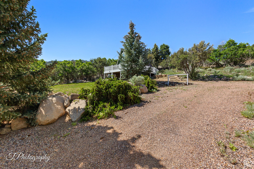 View of yard