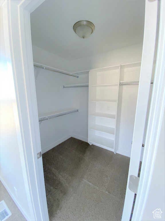 Spacious closet with dark carpet