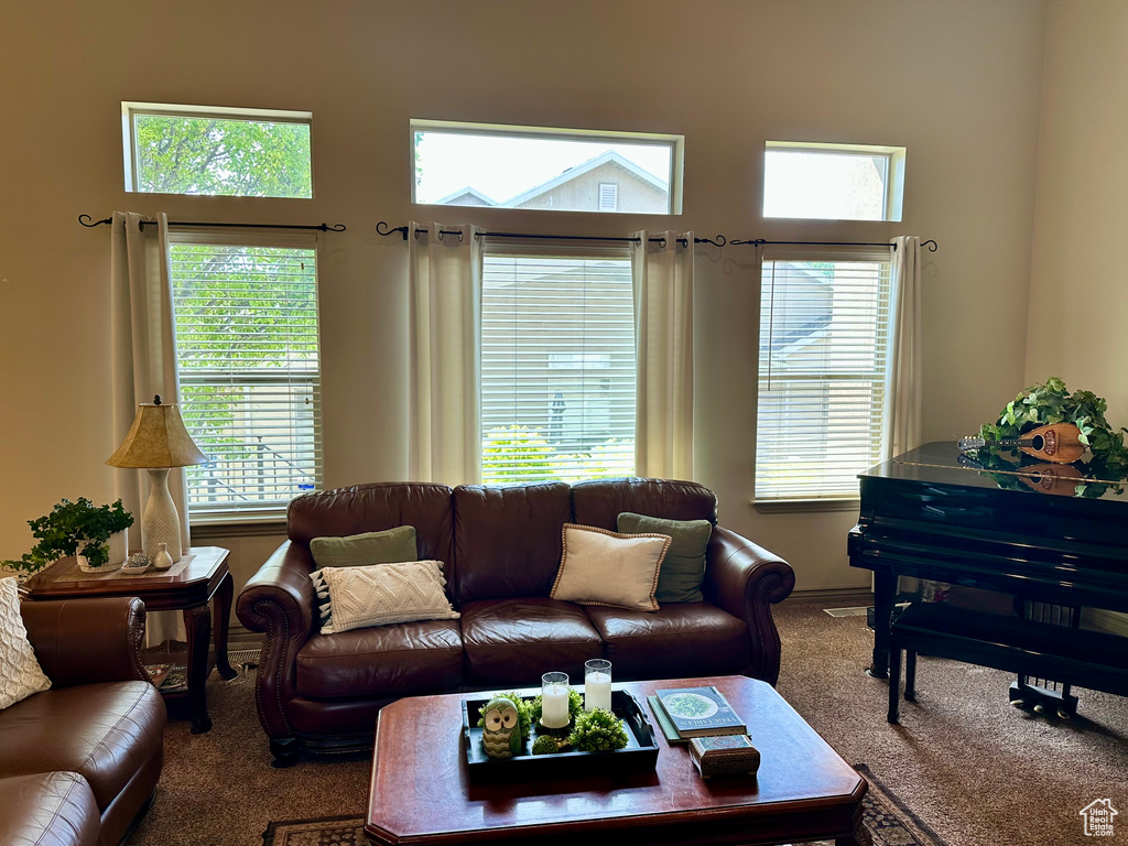 Living room featuring carpet floors, healthy amount of natural light, and a high ceiling